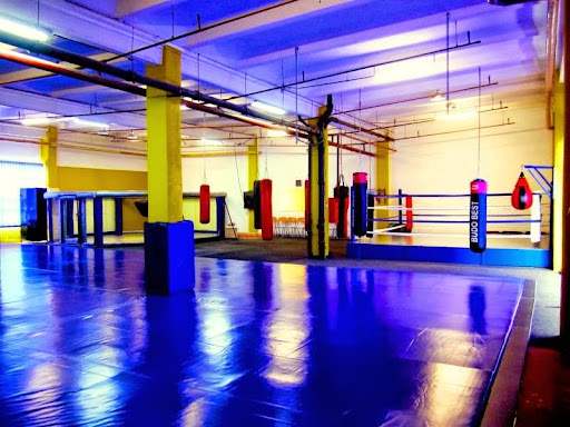 Judo classes Bucharest