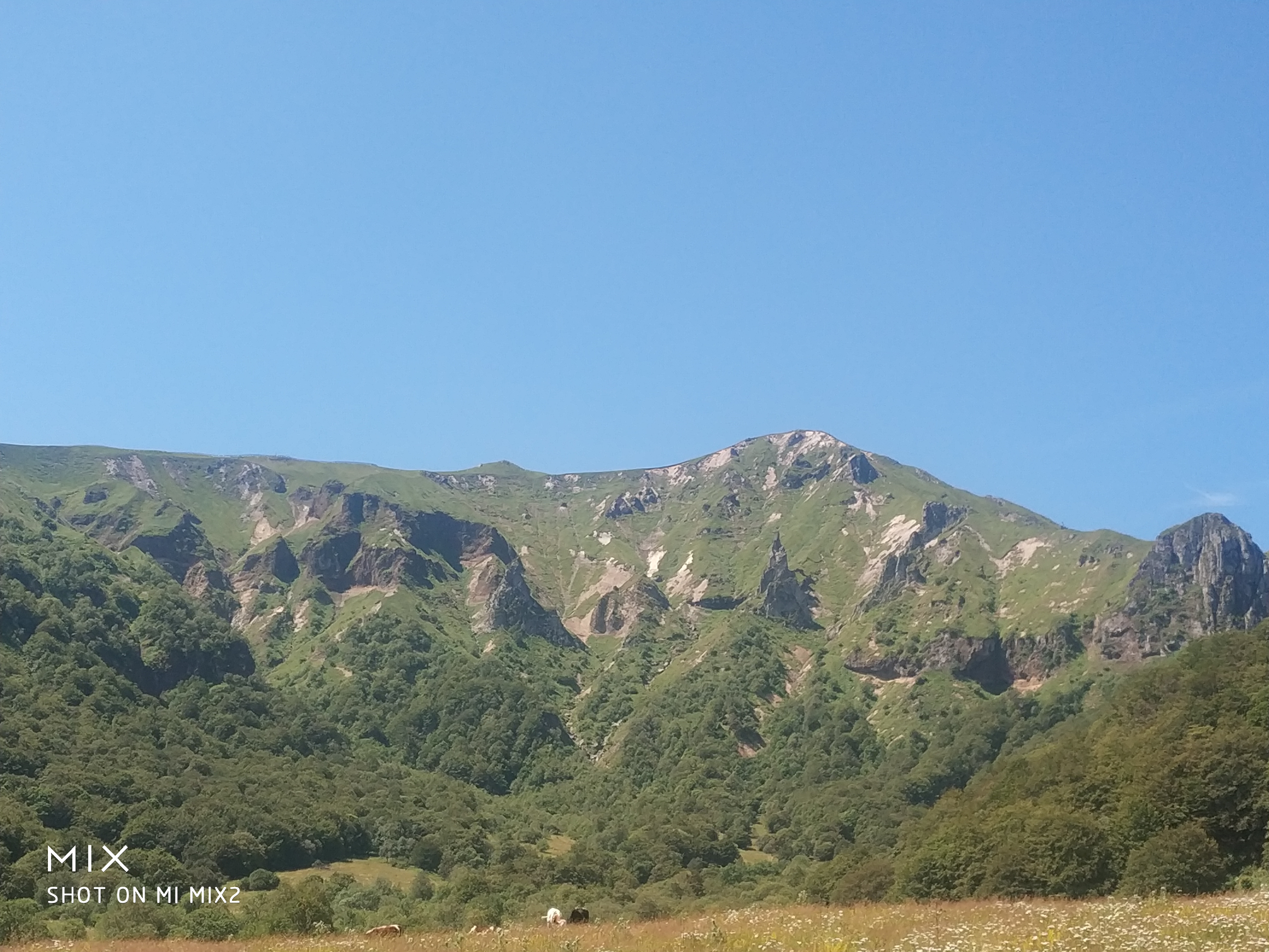 Photo n° 1 de l'avis de francois.r fait le 23/07/2020 à 20:38