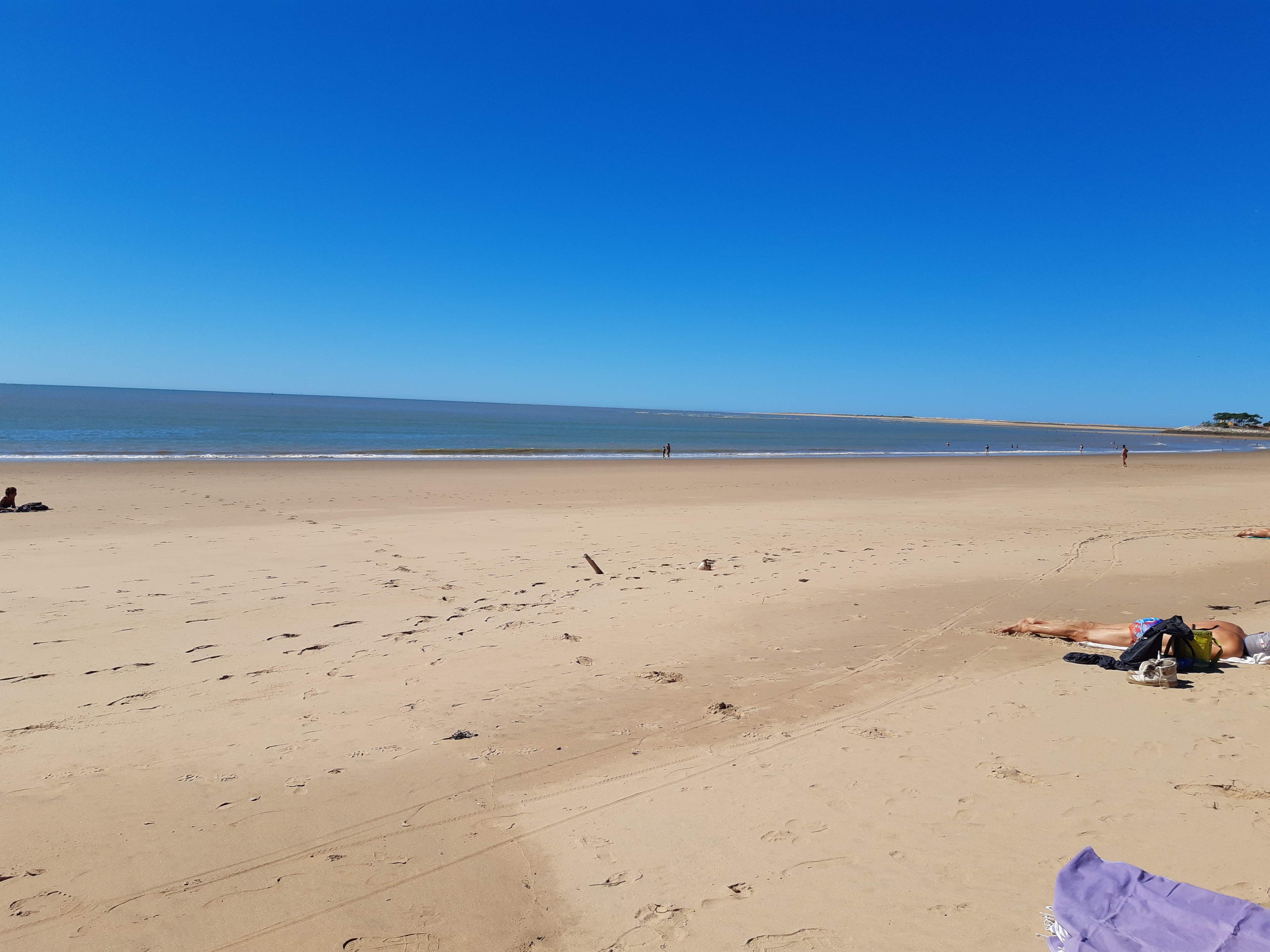 Photo n° 2 de l'avis de SIGNOLET.h fait le 14/09/2022 à 20:48