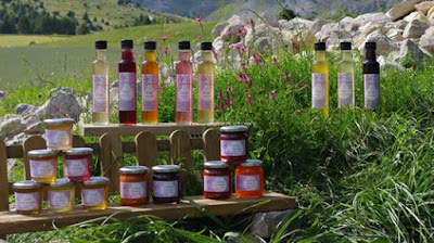 Au Fil des Saisons à Veynes