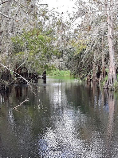 Tourist Attraction «Twister Airboat Rides», reviews and photos, 8199 W King St, Cocoa, FL 32926, USA