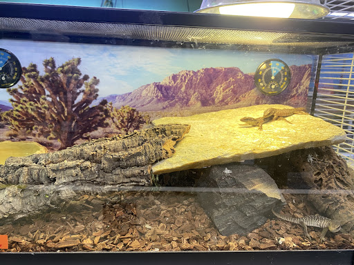 Pet Store «Jules Pet Shop», reviews and photos, 2214 N Milwaukee Ave, Chicago, IL 60647, USA