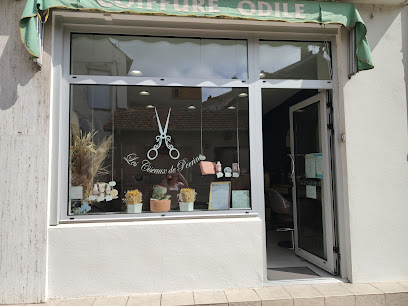 Coiffure Odile