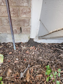 Ally Pest and Termite - Photo 5 - Car repair in , Fort Worth