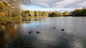 Allestree Park Lake