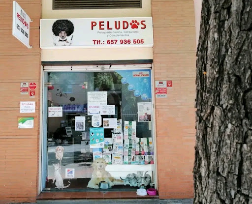 Peludos - C. Jano, n° 6, 29010 Málaga, España