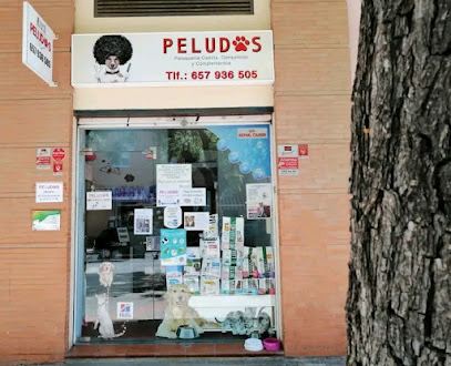 Peludos - Servicios para mascota en Málaga