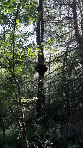 Museum «Dorflinger Glass Museum», reviews and photos, 37 Suydam Dr, White Mills, PA 18473, USA