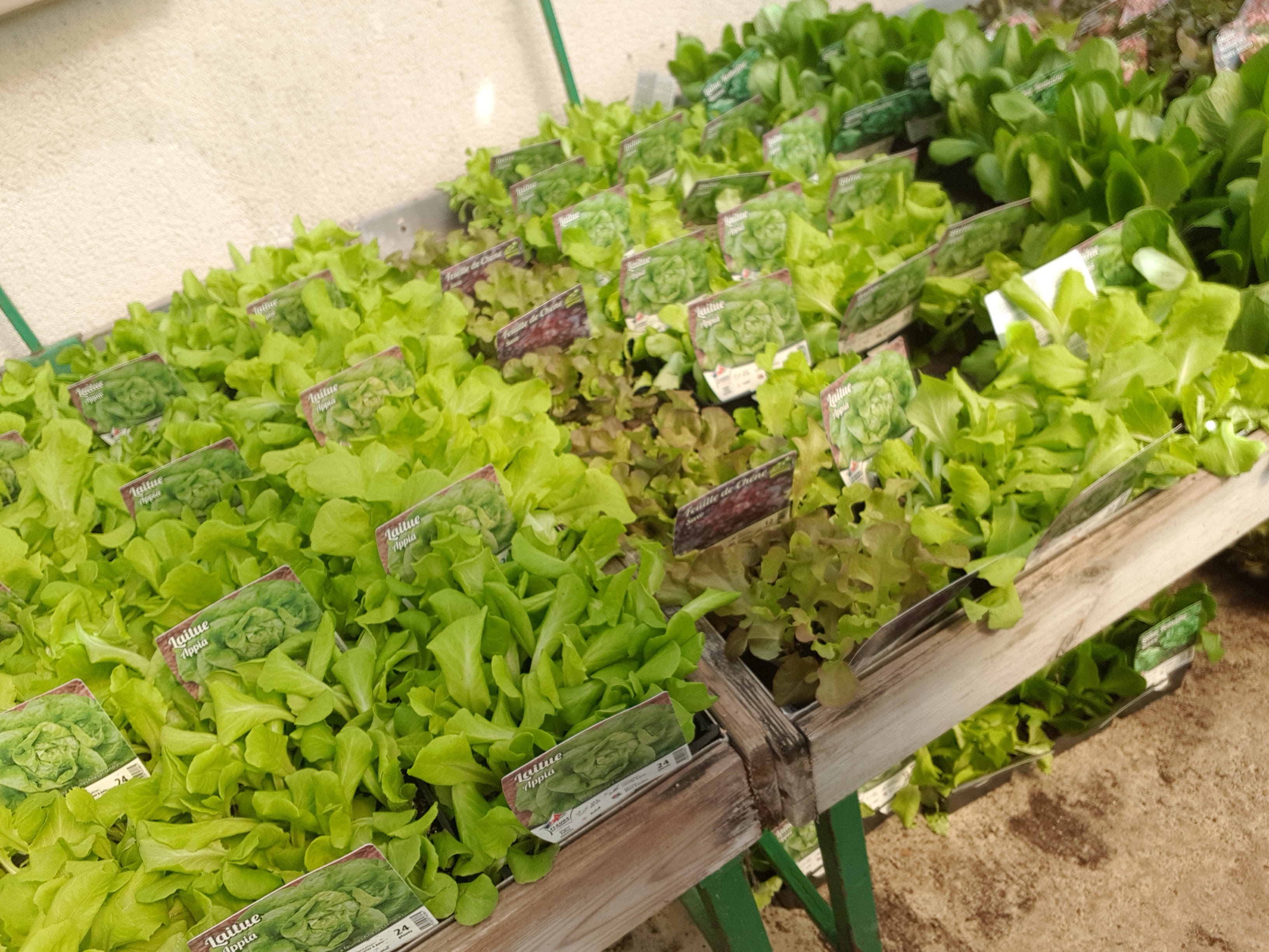 Photo n° 3 de l'avis de Meyli.U fait le 27/04/2018 à 17:30