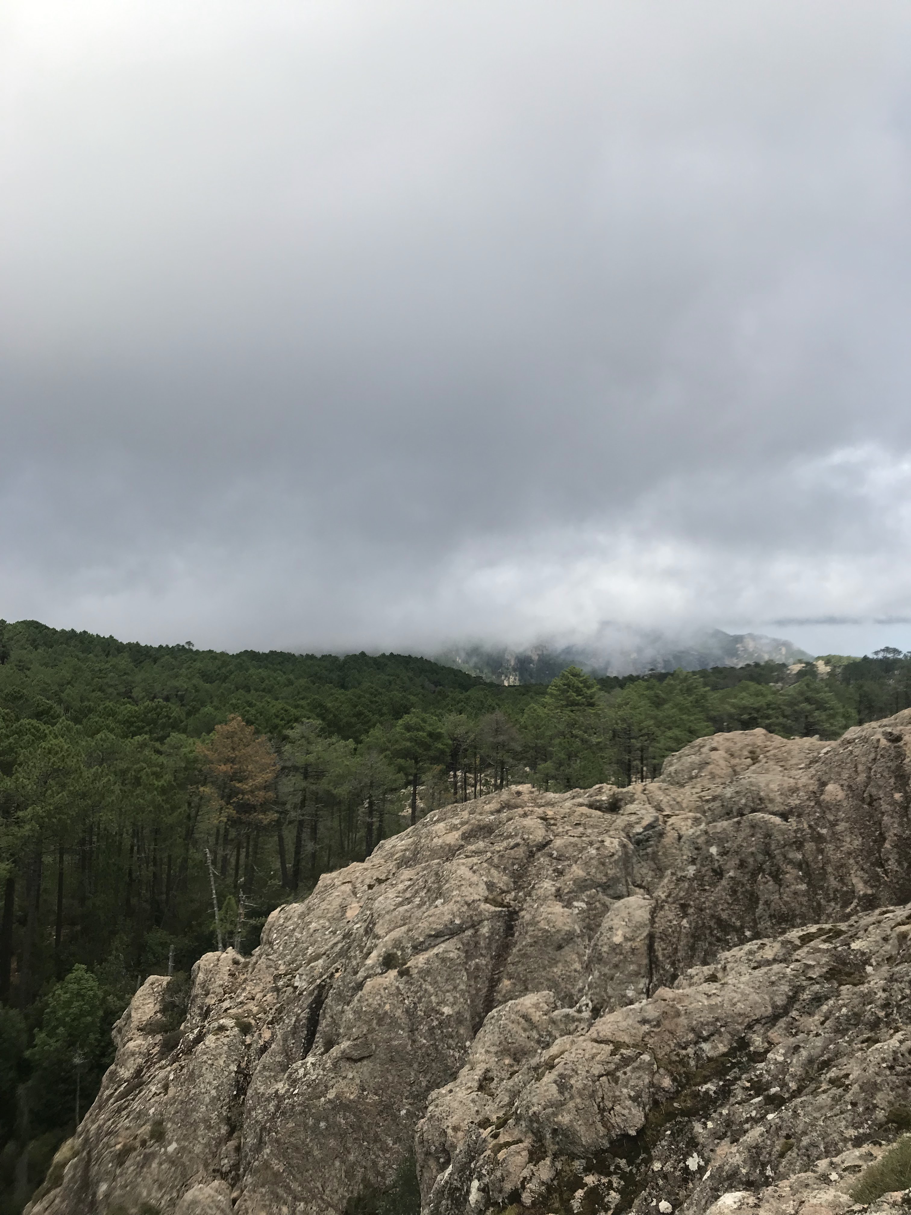 Photo n° 9 de l'avis de Ušan.m fait le 23/09/2019 à 12:25