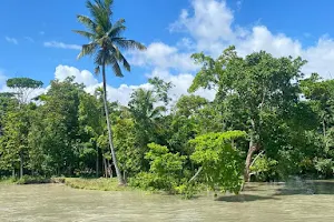Bhola Island image