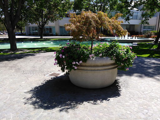 8x8, Inc. image