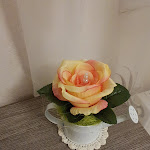 Photo n° 2 de l'avis de Mimi-Inari. fait le 13/02/2021 à 16:32 pour L'arrosoir horticulture à Ouroux-sur-Saône