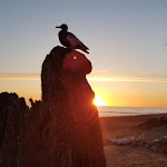 Photo n°1 de l'avis de nicholas.e fait le 03/05/2019 à 16:13 sur le  La Spiaggetta Da Mario à Torvaianica