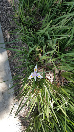 Grand Avenue Park image