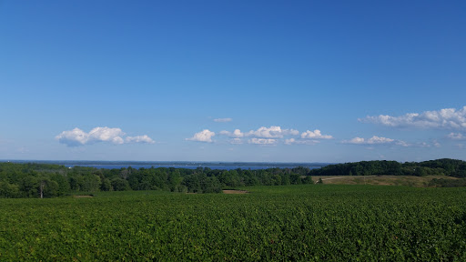 Winery «Brys Estate Vineyard», reviews and photos, 3309 Blue Water Rd, Traverse City, MI 49686, USA