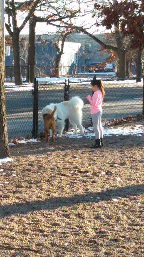 Park «Union Street Dog Park», reviews and photos, 59 Fair St, New Haven, CT 06511, USA