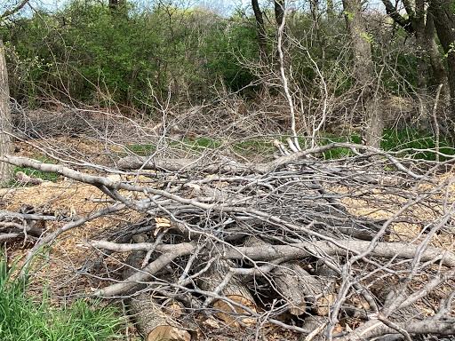 Golf Course «Riverchase Golf Course», reviews and photos, 700 Riverchase Dr, Coppell, TX 75019, USA