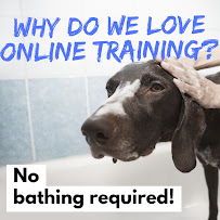 Barkside Behavior and Training - Photo 5 - Car repair in , Norfolk