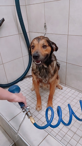 Pet Supply Store «Pet Supplies Plus», reviews and photos, 1377 N 21st St, Newark, OH 43055, USA