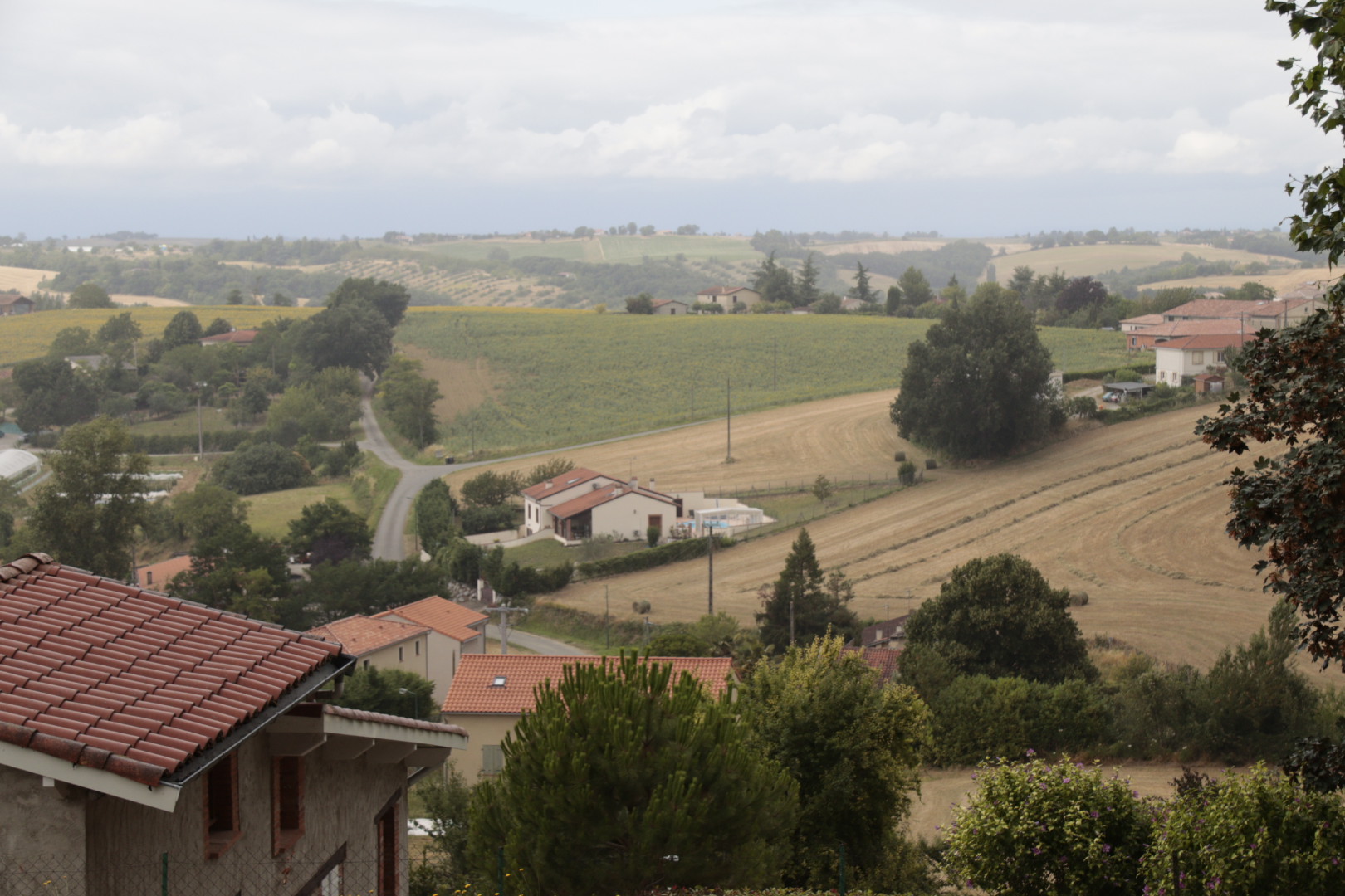 Photo n° 4 de l'avis de Vannier.l fait le 17/07/2020 à 16:38