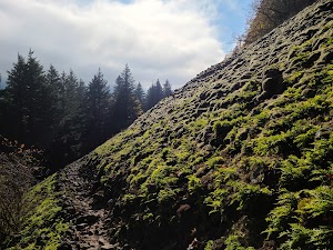 Cape Horn Trail - photo 2
