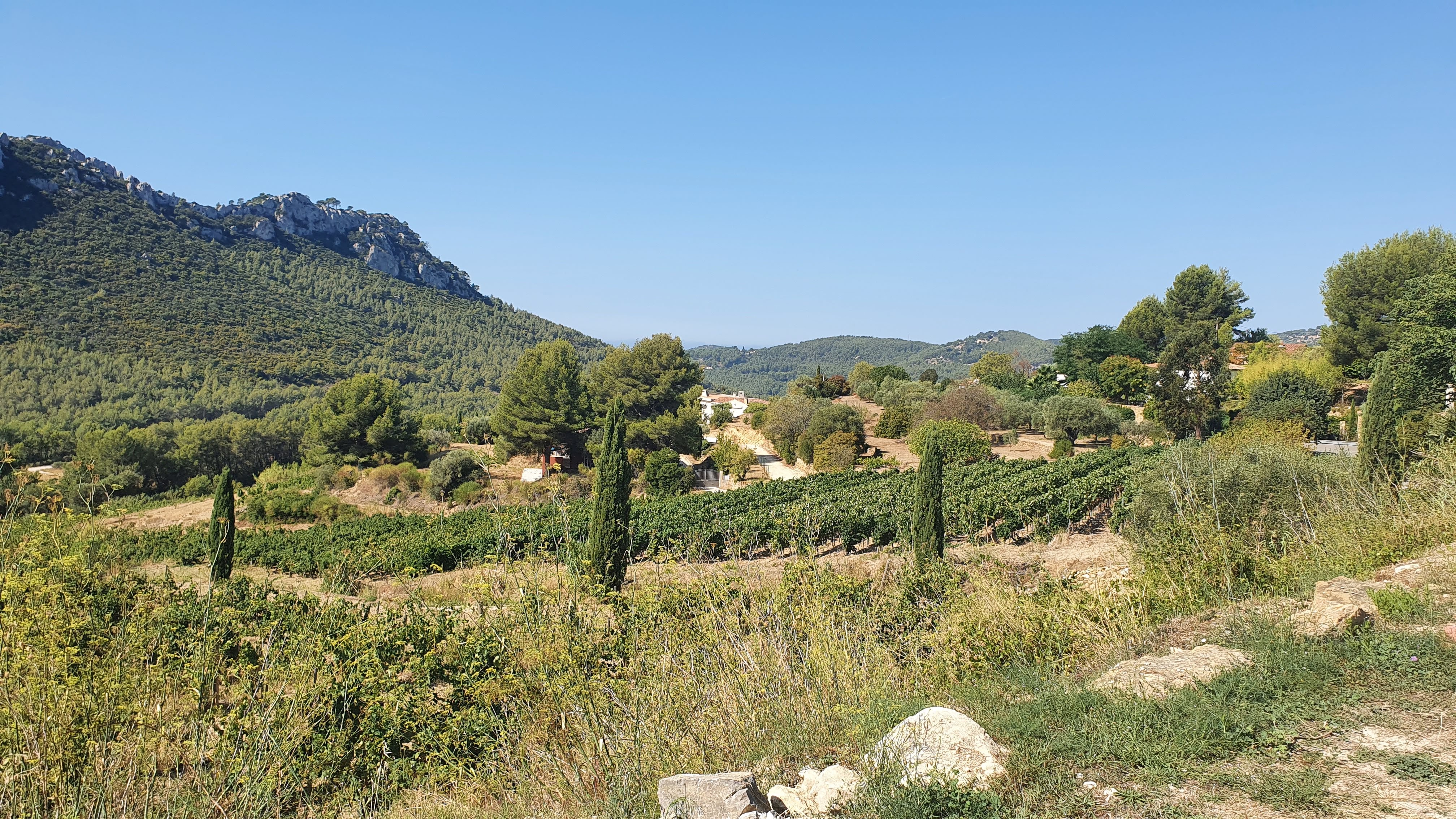 Photo n° 3 de l'avis de Manu.a fait le 12/09/2021 à 12:42