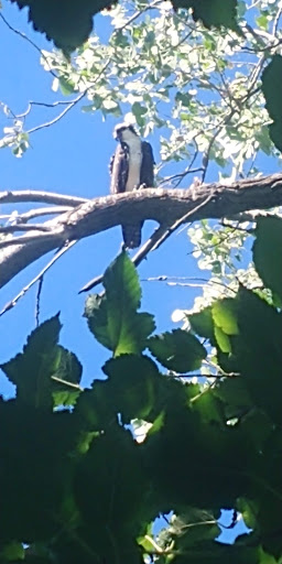 Park «Anderson River Park», reviews and photos