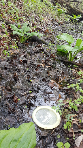 Disc Golf Course «Hudson Mills Disc Golf Course», reviews and photos, 8801 N Territorial Road, Dexter, MI 48130, USA