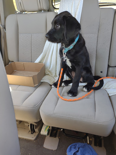 Mitchell Veterinary Services image