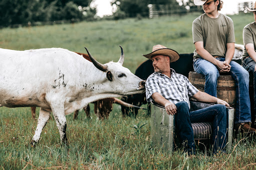 Auto Repair Shop «Milestone Paint & Body», reviews and photos, 11940 Central Pike, Mt Juliet, TN 37122, USA