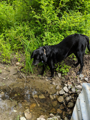 Park «Ira Township Park», reviews and photos, 7085 Meldrum Rd, Ira Township, MI 48023, USA