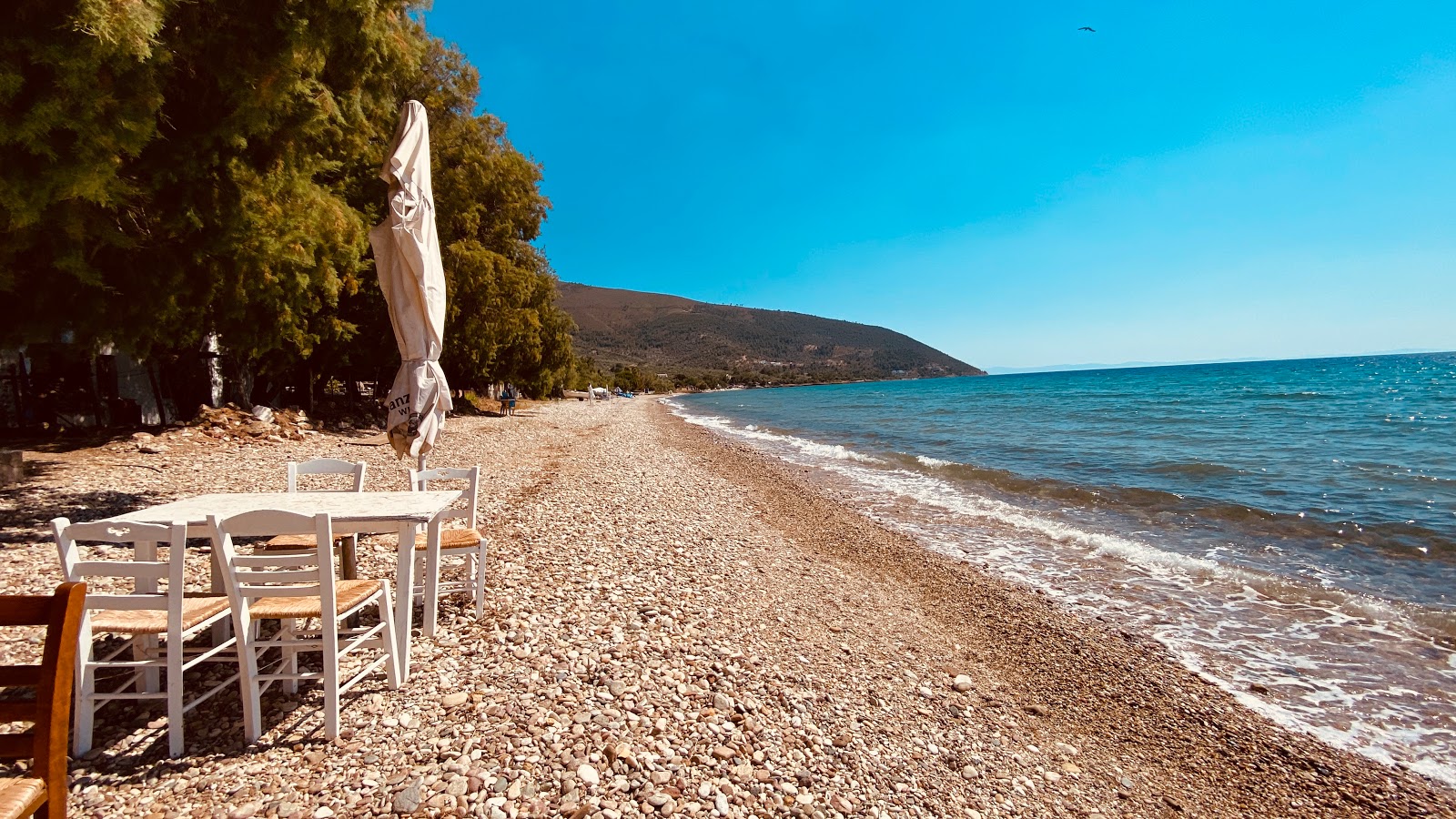 Photo de Romantic beach II avec rivage droit, long
