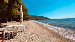 Photo de Romantic beach II avec rivage droit, long
