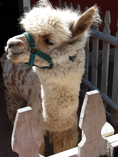 Water Park «Enchanted Forest Water Safari», reviews and photos, 3183 NY-28, Old Forge, NY 13420, USA