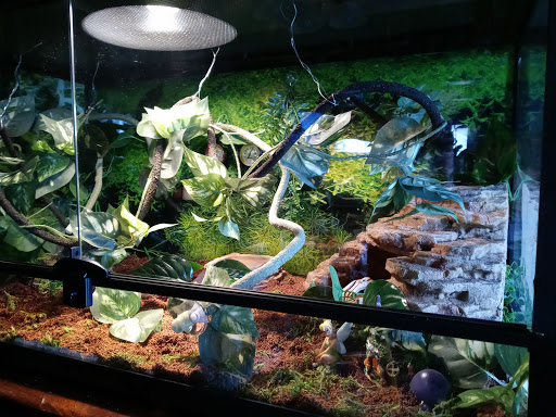 Pet Supply Store «Petco Animal Supplies», reviews and photos, 597 Hebron Rd #2, Heath, OH 43056, USA