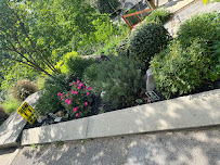 Ridgeside Lawn Care - Photo 7 - Car repair in , Chattanooga