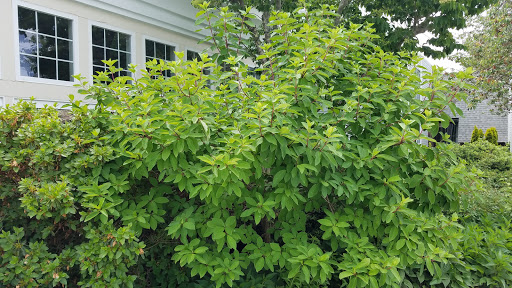 Water Park «Cape Codder Water Park», reviews and photos, 1225 Iyannough Rd, Hyannis, MA 02601, USA