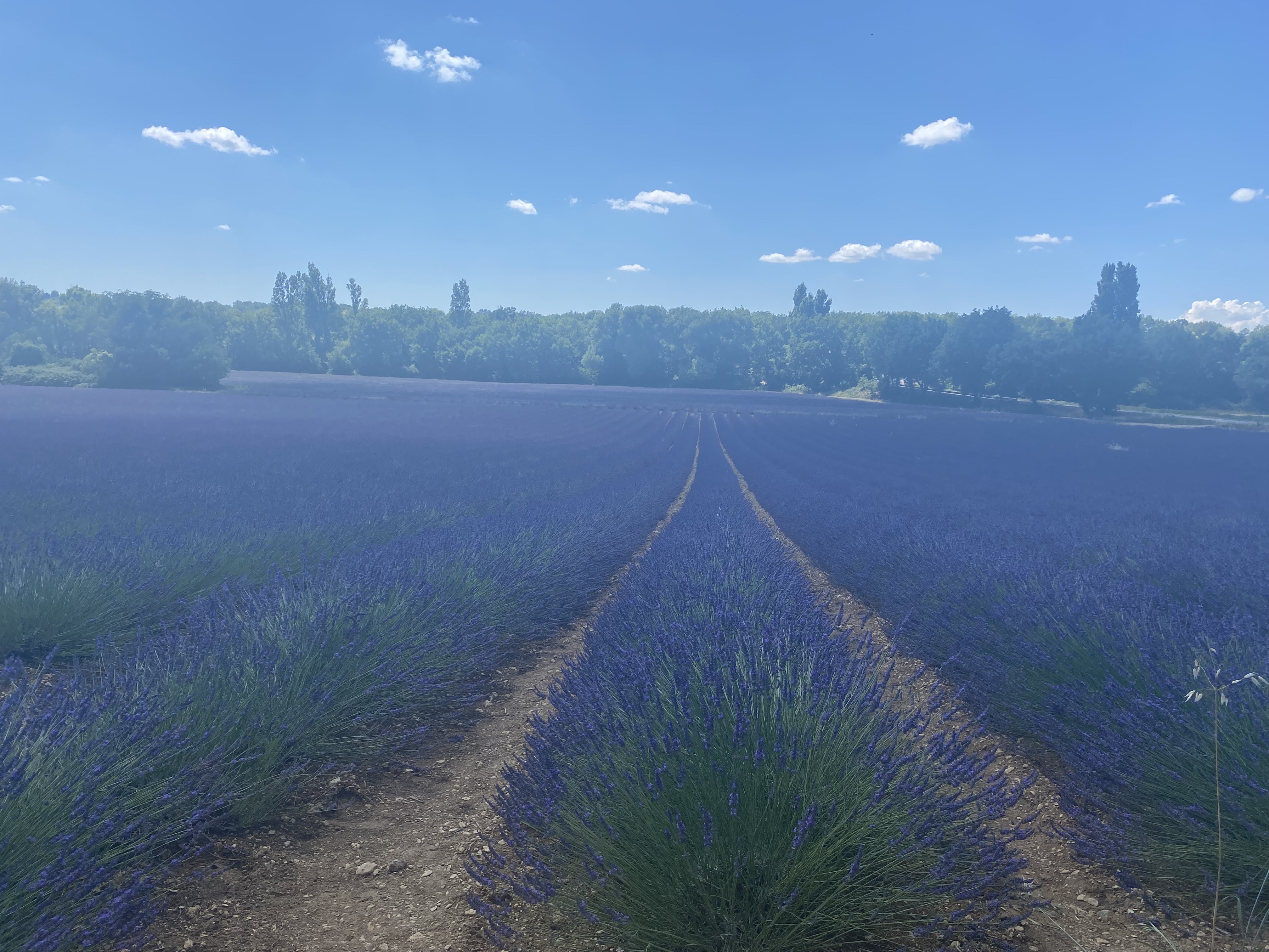 Photo n° 1 de l'avis de Yiming.o fait le 29/06/2022 à 14:16