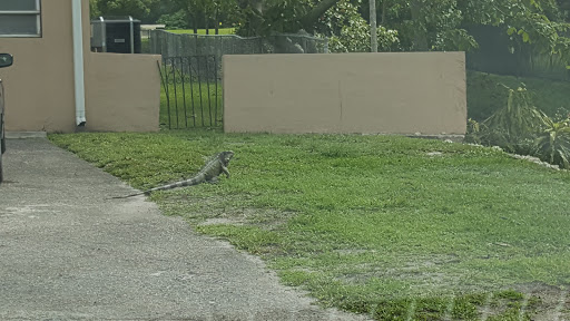 Golf Club «Miami Springs Golf & Country Club», reviews and photos, 650 Curtiss Pkwy, Miami Springs, FL 33166, USA