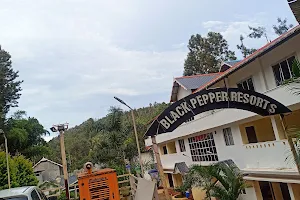 Black Pepper Resorts And Hotel image