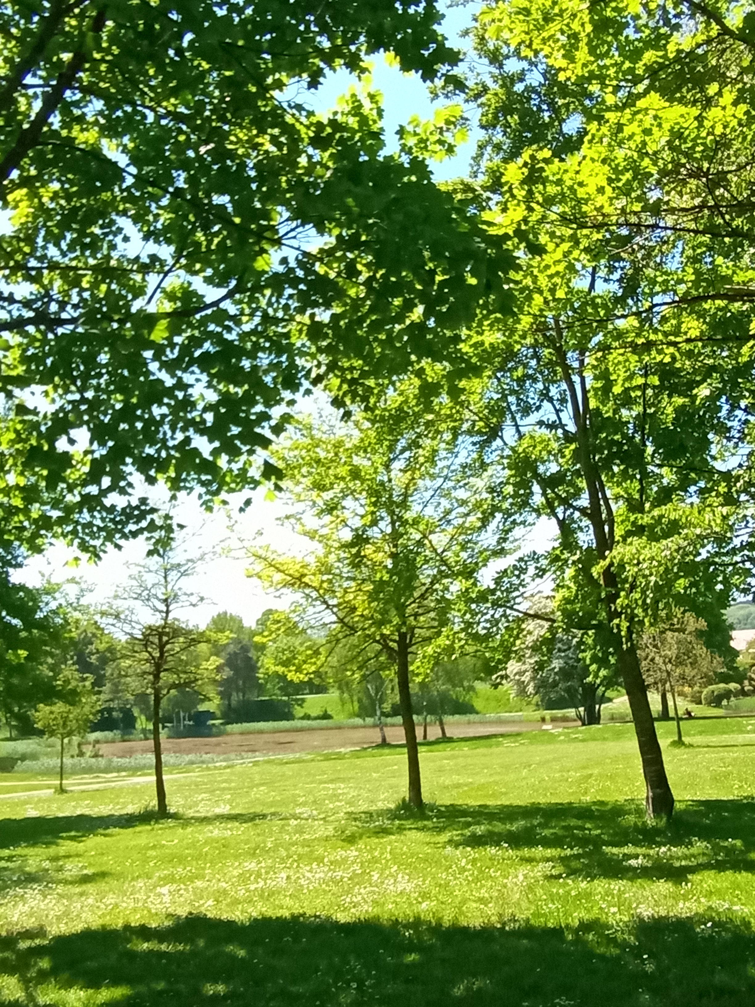 Photo n° 6 de l'avis de Christophe.t fait le 28/05/2021 à 12:58
