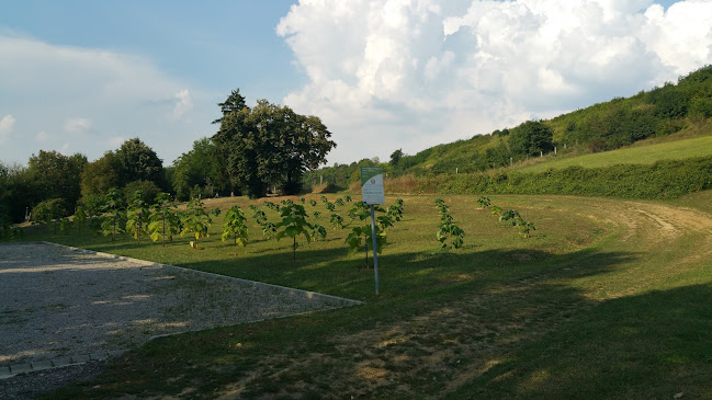 Gödre, Templom - Gödre