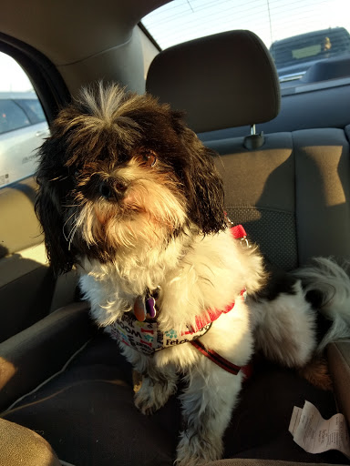 Pet Store «PetSmart», reviews and photos, 10451 Baltimore St NE, Blaine, MN 55449, USA