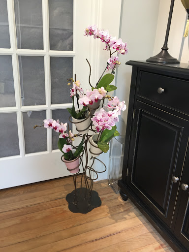 Florist «Medford Florist», reviews and photos, 38 S Main St, Medford, NJ 08055, USA