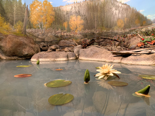 Art Museum «Carnegie Museum of Art», reviews and photos, 4400 Forbes Ave, Pittsburgh, PA 15213, USA