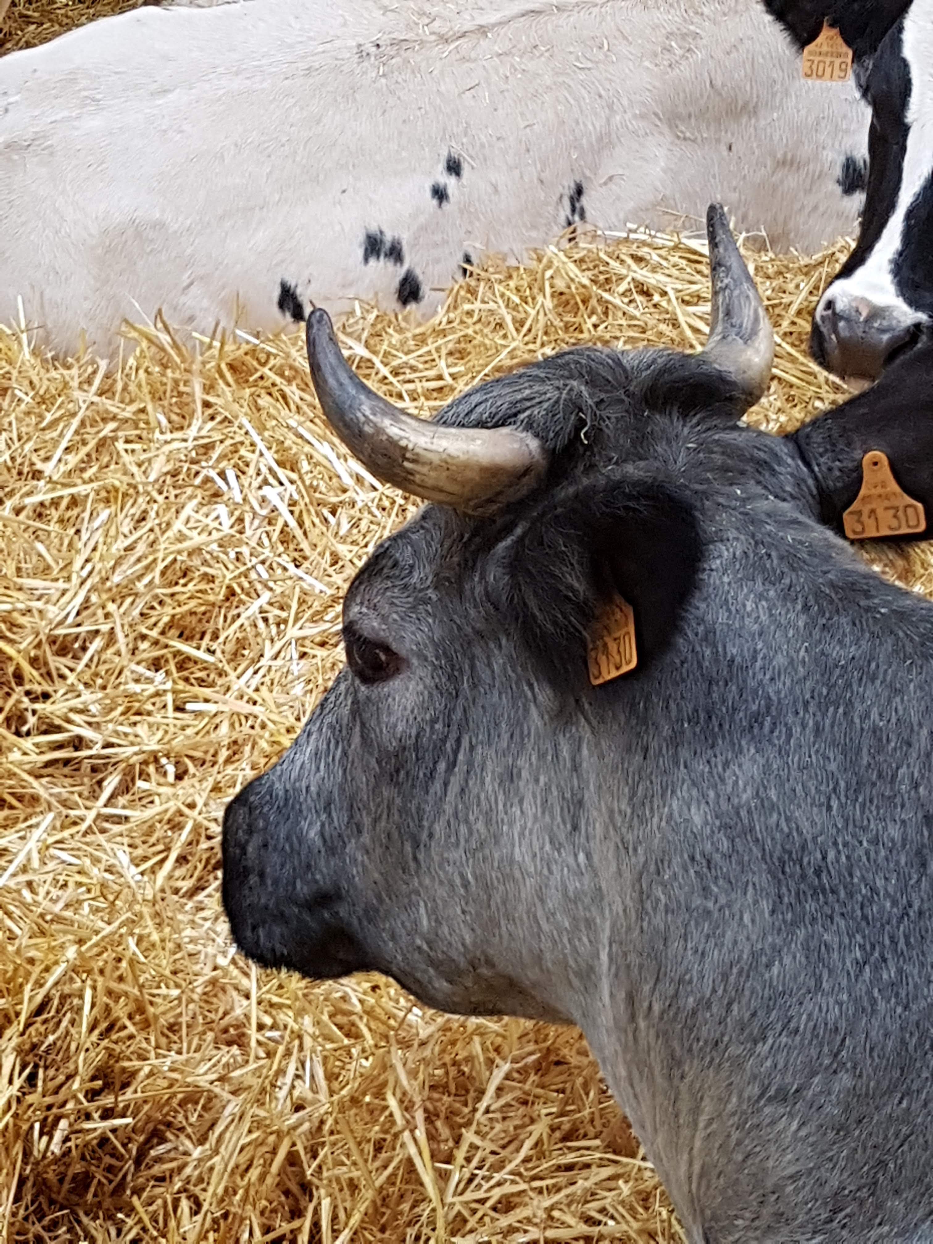 Photo n° 18 de l'avis de Alicia.P fait le 28/04/2019 à 13:27