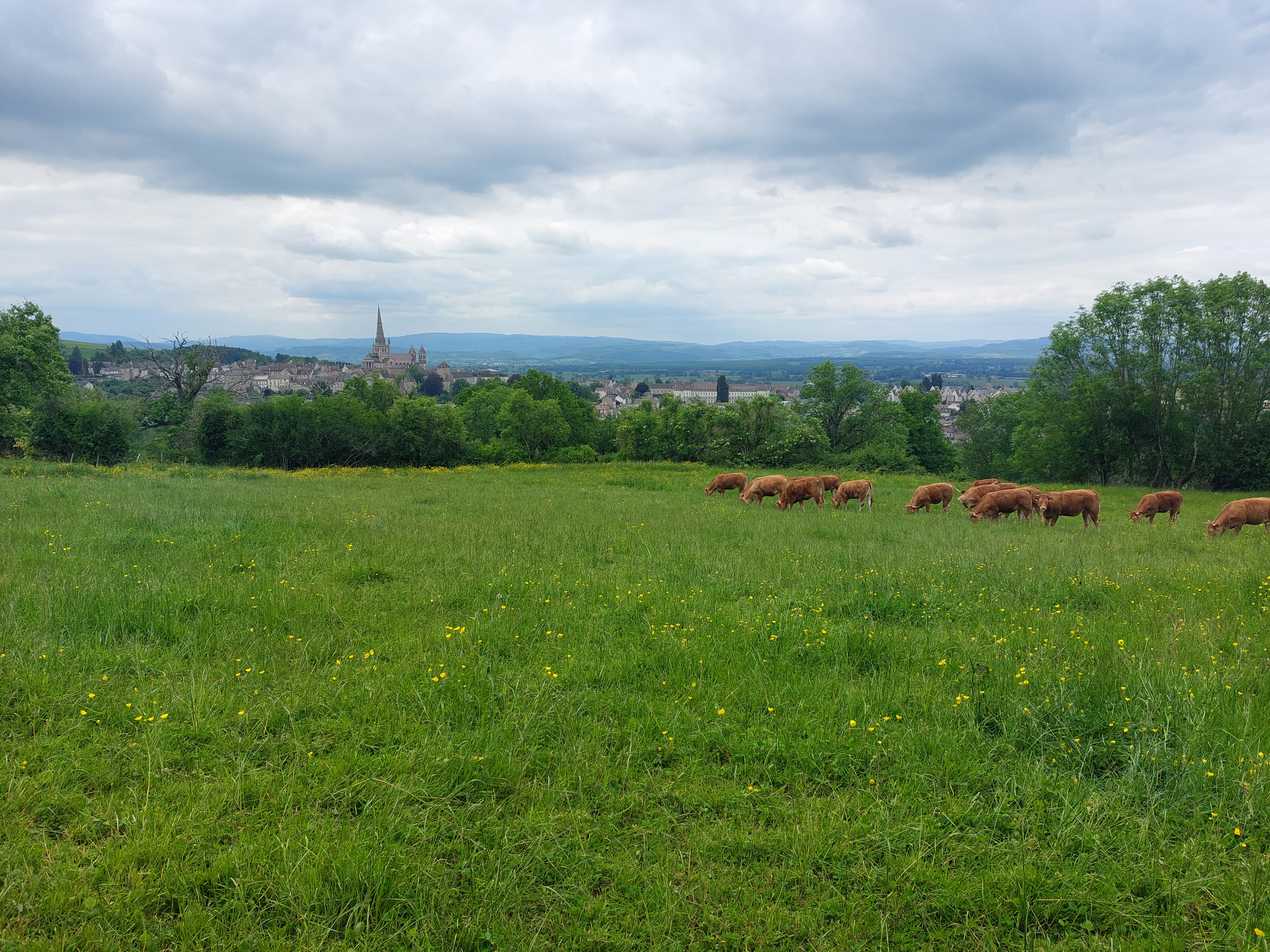 Photo n° 2 de l'avis de Joel.U fait le 20/05/2023 à 16:28