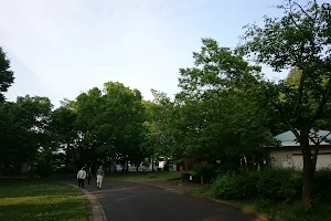 Wakasato Park image