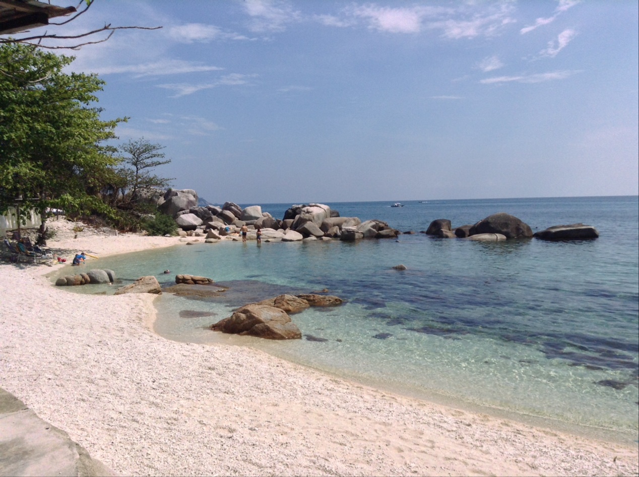 Φωτογραφία του Turtle Bay Beach με καθαρό νερό επιφάνεια